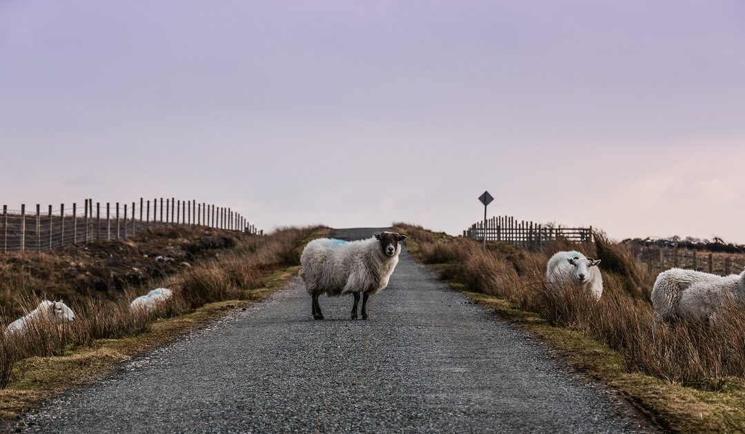 Best Islands; Raasay, Scotland: Conde Nast Traveller